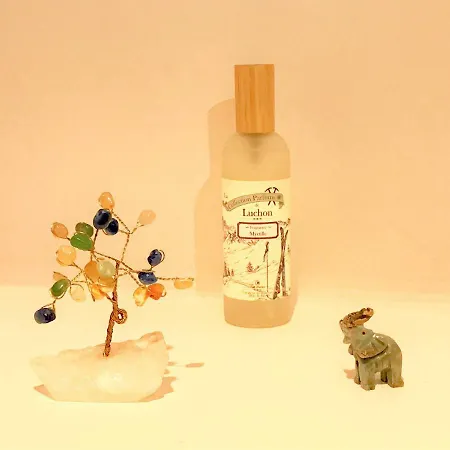 Appartement Loft Coco Bagnères-de-Luchon