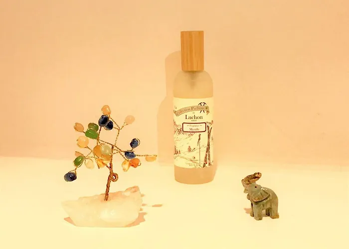 Appartement Loft Coco Bagnères-de-Luchon